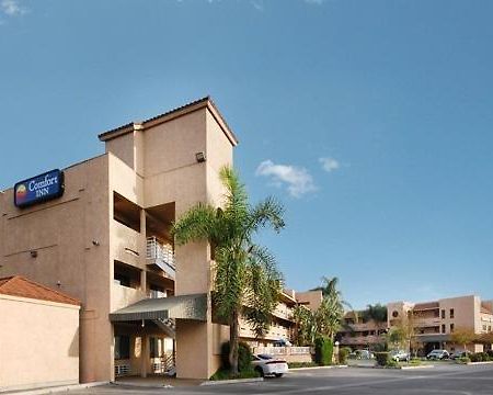 Comfort Inn נורווק מראה חיצוני תמונה